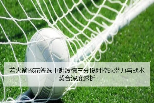 若火箭探花签选中谢泼德三分投射控球潜力与战术契合深度透析
