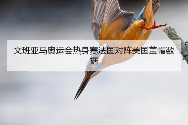 wen-ban-ya-ma-ao-yun-hui-re-shen-sai-fa-guo-dui-zhen-mei-guo-gai-mao-shu-ju-3-229.jpg