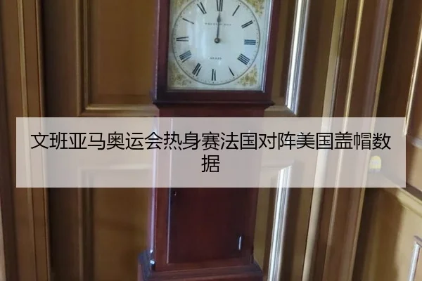 文班亚马奥运会热身赛法国对阵美国盖帽数据